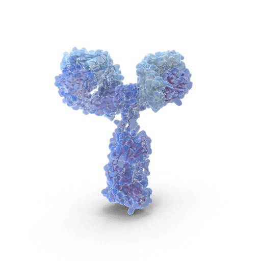 [ MF-80A-100] Anti-Human Ferritin Ab CAT# MF-80A-100