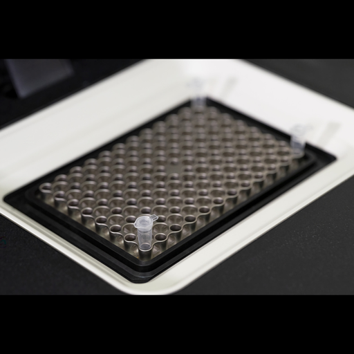 [RW2-743202.25] NucleoType Plant PCR (25)